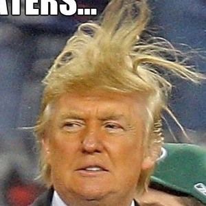 Meet your Posher, Bert